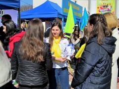 profikemp 2019 12