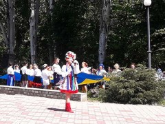den vishivanki 2019 05
